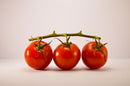 Cherry Tomatoes [DEMO]