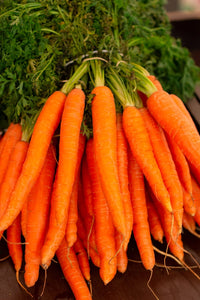 Fresh Carrots [DEMO]